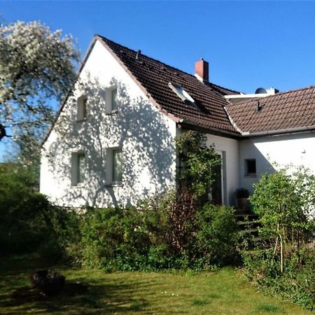 Sonniges Haeuschen Mit Garten Braunschweig Eksteriør bilde