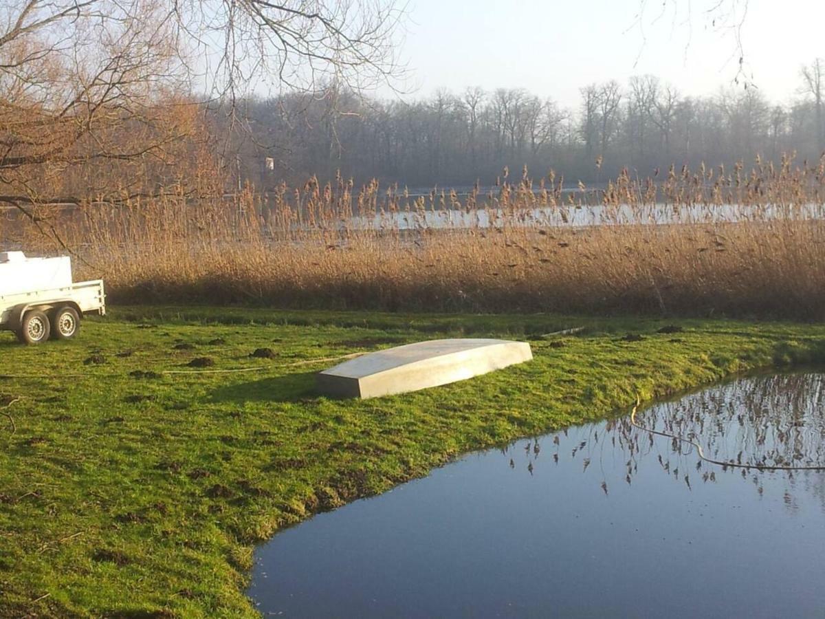 Sonniges Haeuschen Mit Garten Braunschweig Eksteriør bilde