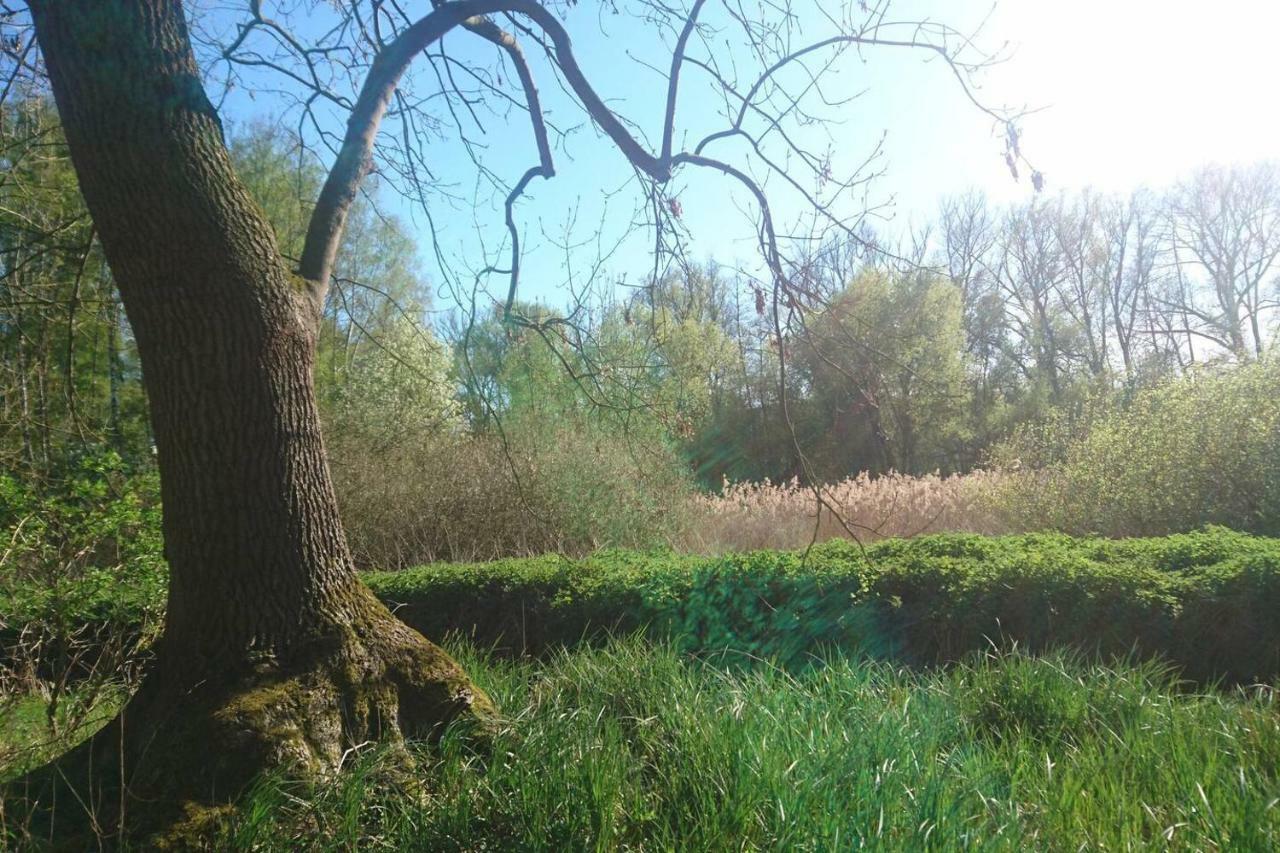 Sonniges Haeuschen Mit Garten Braunschweig Eksteriør bilde