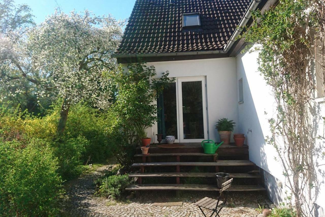 Sonniges Haeuschen Mit Garten Braunschweig Eksteriør bilde